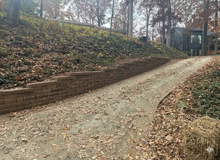 What Is the Difference Between a Concrete Driveway and an Asphalt Driveway?